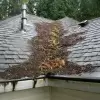 Wash The Roof Debris Away!